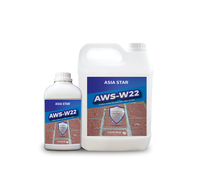 AWS®-W22